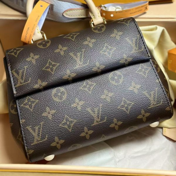 Louis Vuitton Cluny Mini - Monogram Removable Strap